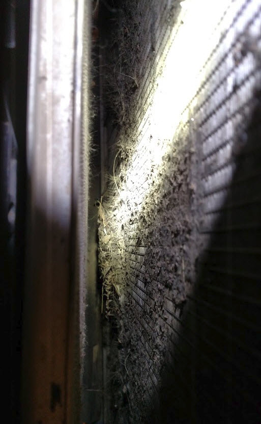 radiator.jpg